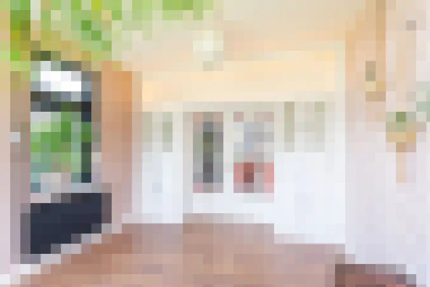 Hogeweg 49 Ulft thumbnail 14
