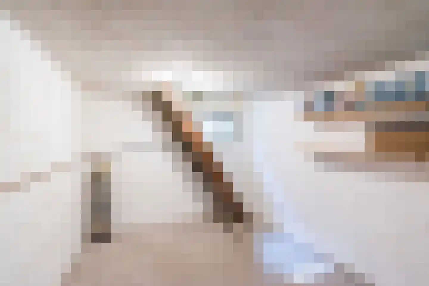 Hogeweg 49 Ulft thumbnail 22