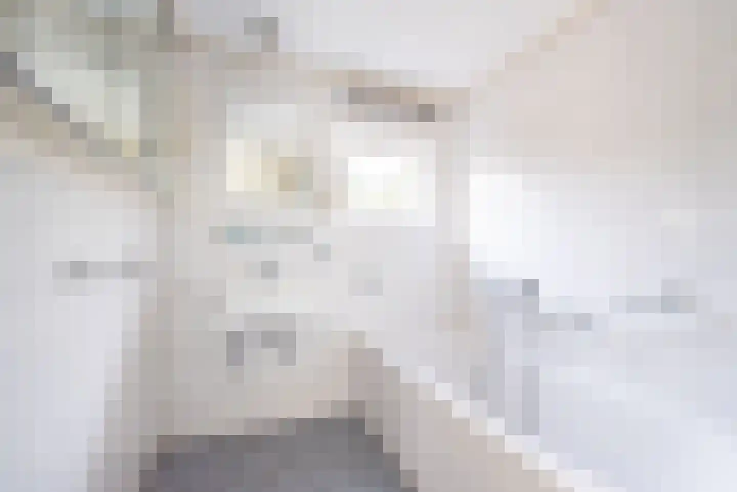 Hogeweg 49 Ulft thumbnail 23