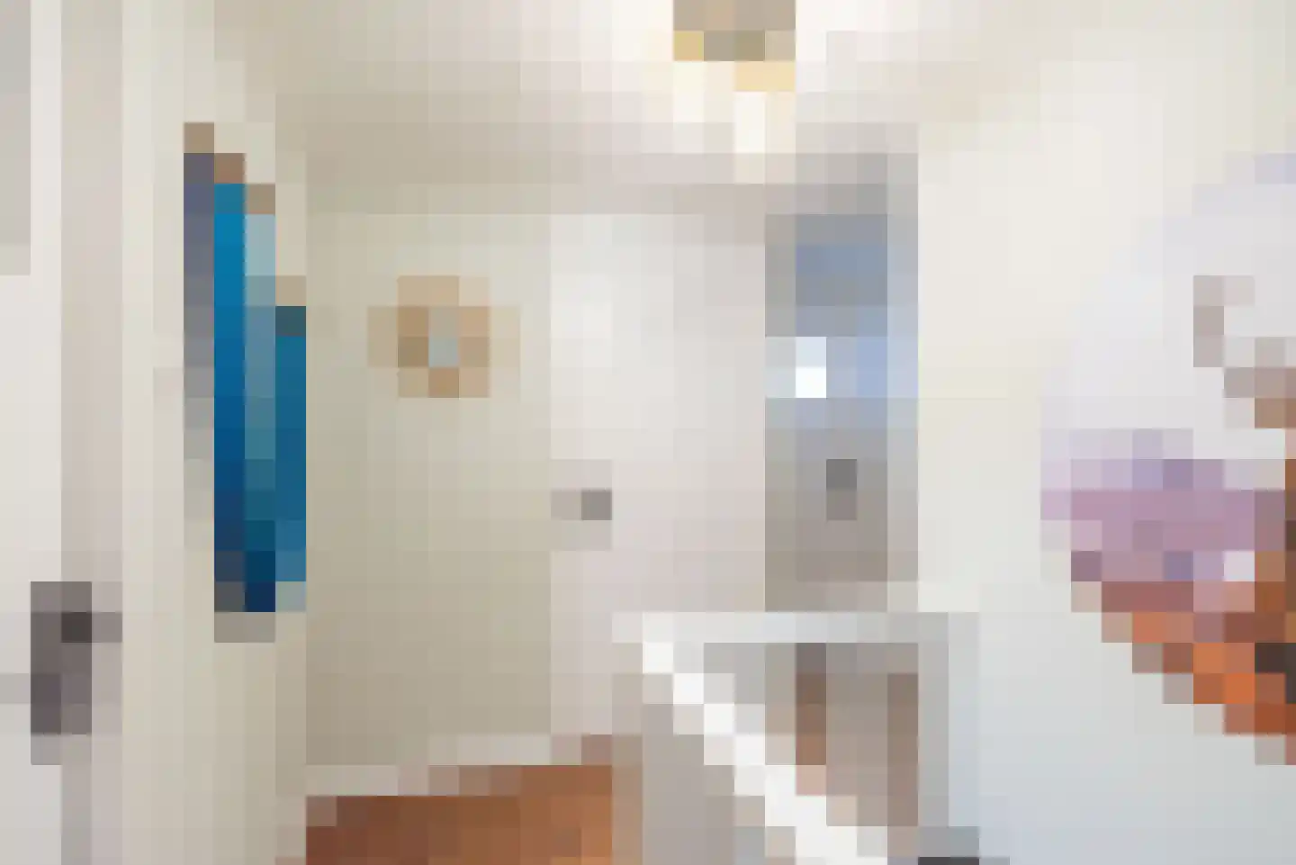 Hogeweg 49 Ulft thumbnail 27