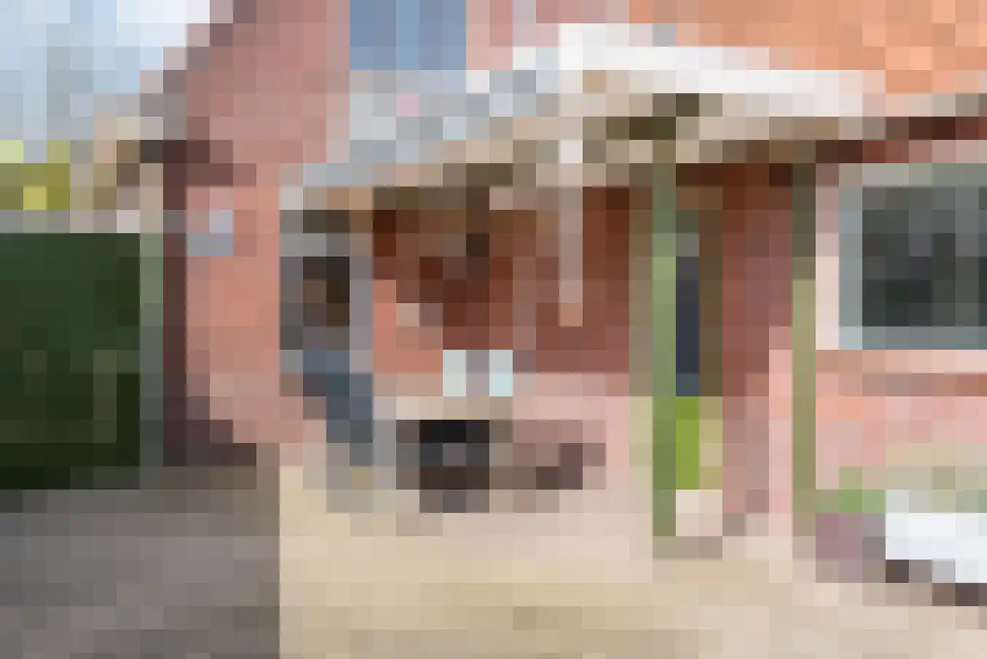 Hogeweg 49 Ulft thumbnail 41