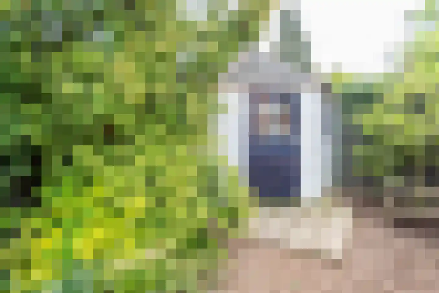 Hogeweg 49 Ulft thumbnail 47