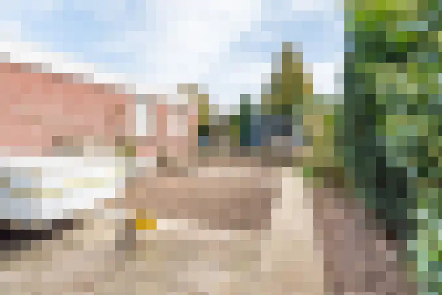 Hogeweg 49 Ulft thumbnail 49