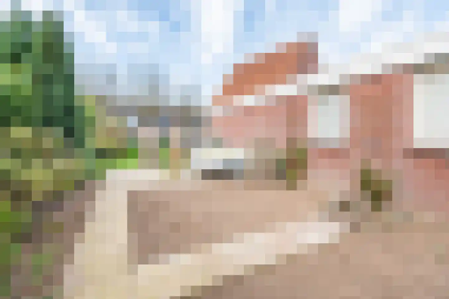 Hogeweg 49 Ulft thumbnail 50