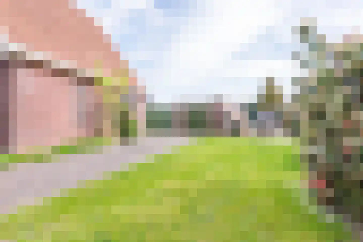 Hogeweg 49 Ulft thumbnail 51