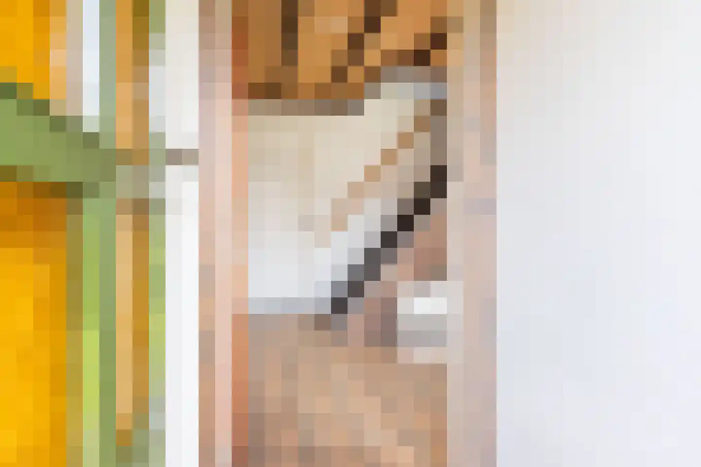 Hogeweg 49 Ulft thumbnail 7