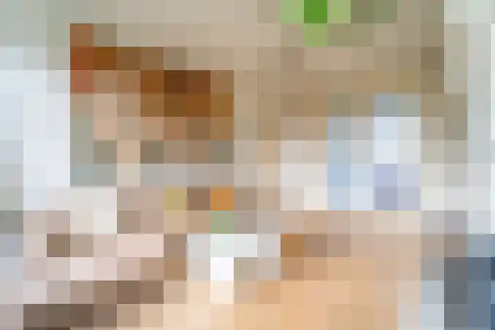 Hogeweg 5 3 Amsterdam thumbnail 5