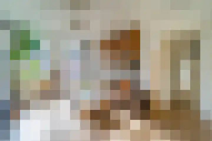 Hogeweg 5 3 Amsterdam thumbnail 7
