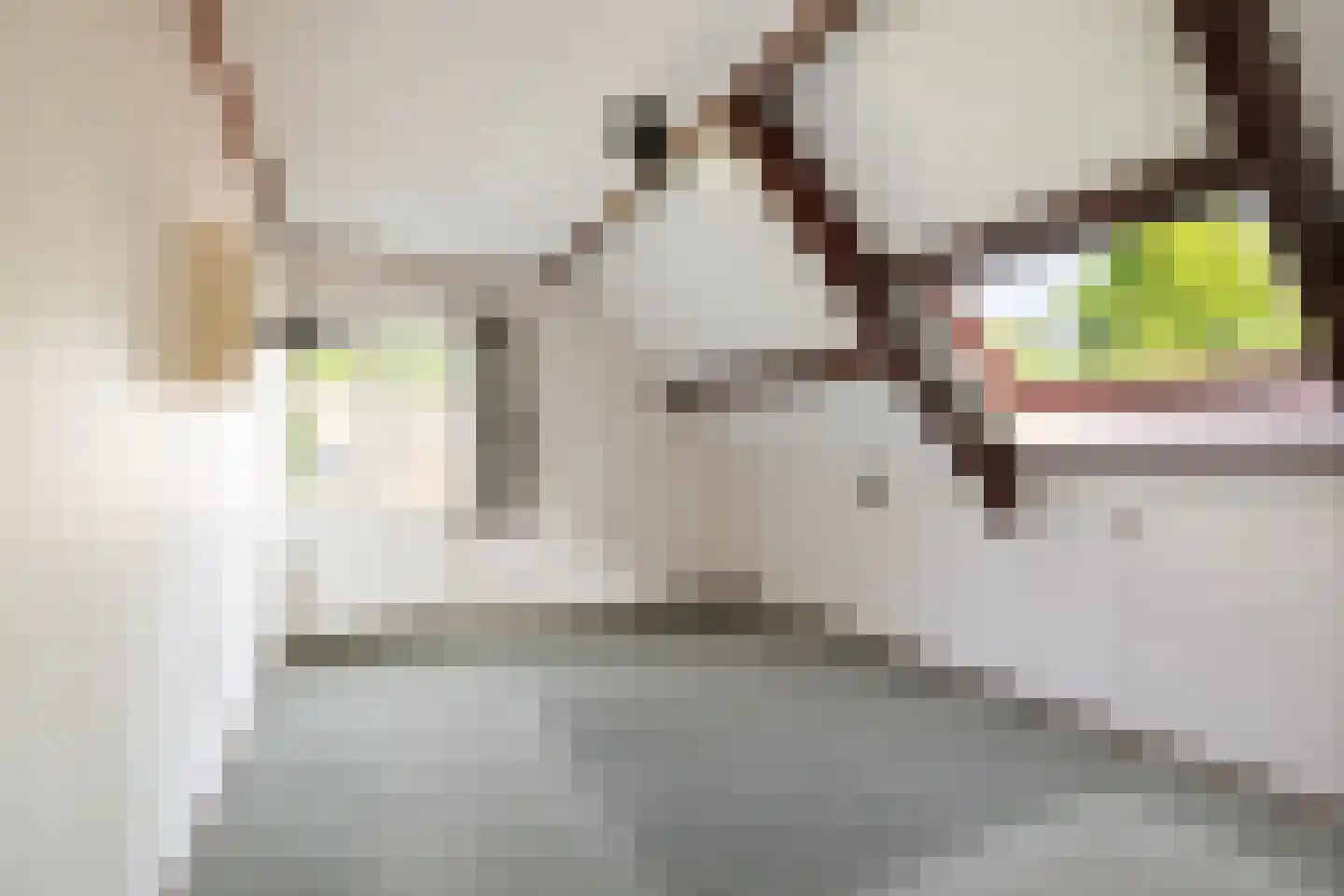 Hogeweg 5 Bathmen thumbnail 18