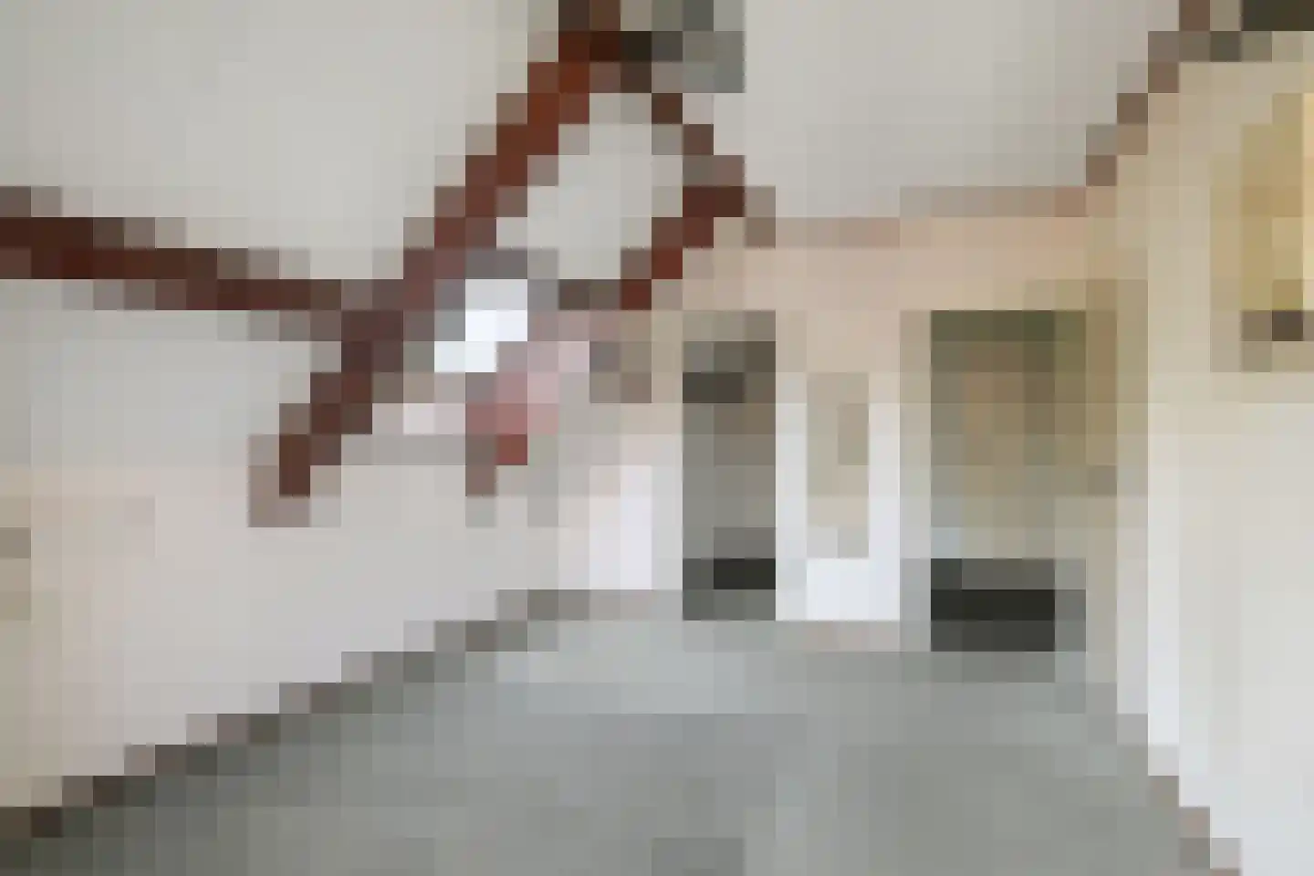 Hogeweg 5 Bathmen thumbnail 19
