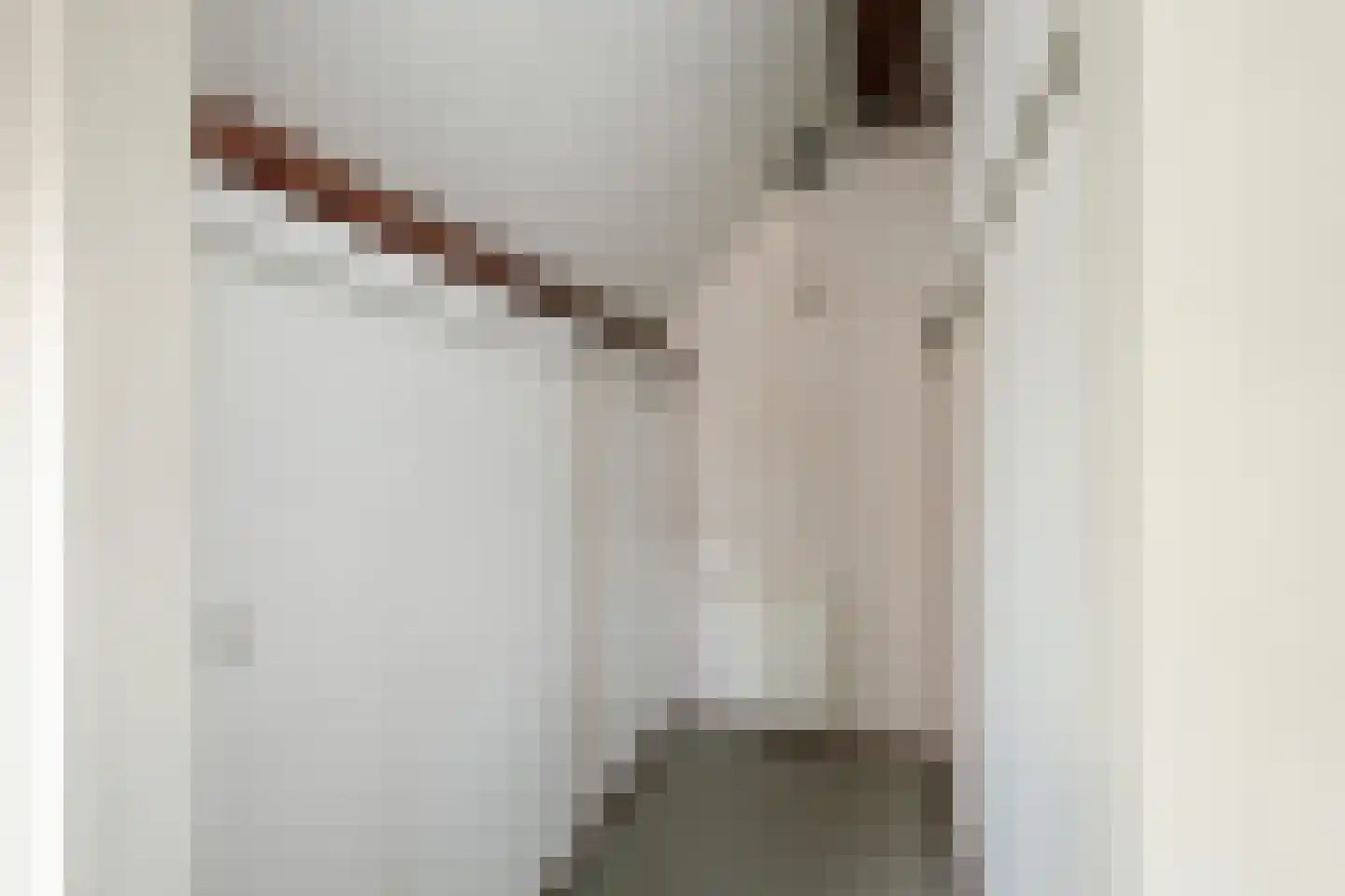 Hogeweg 5 Bathmen thumbnail 20