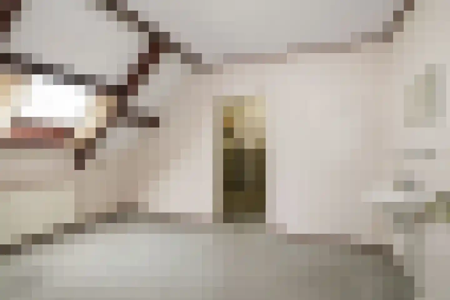 Hogeweg 5 Bathmen thumbnail 21
