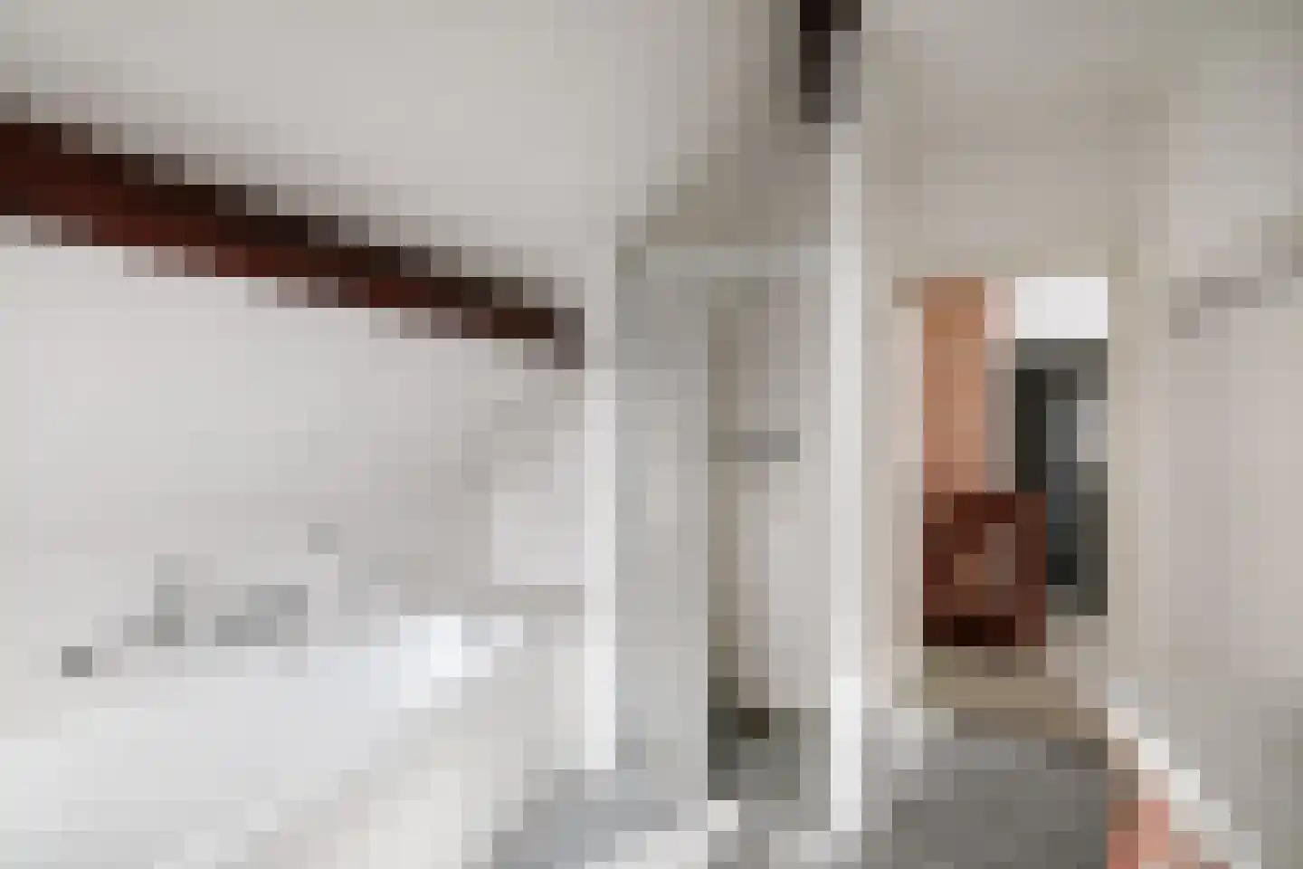 Hogeweg 5 Bathmen thumbnail 27