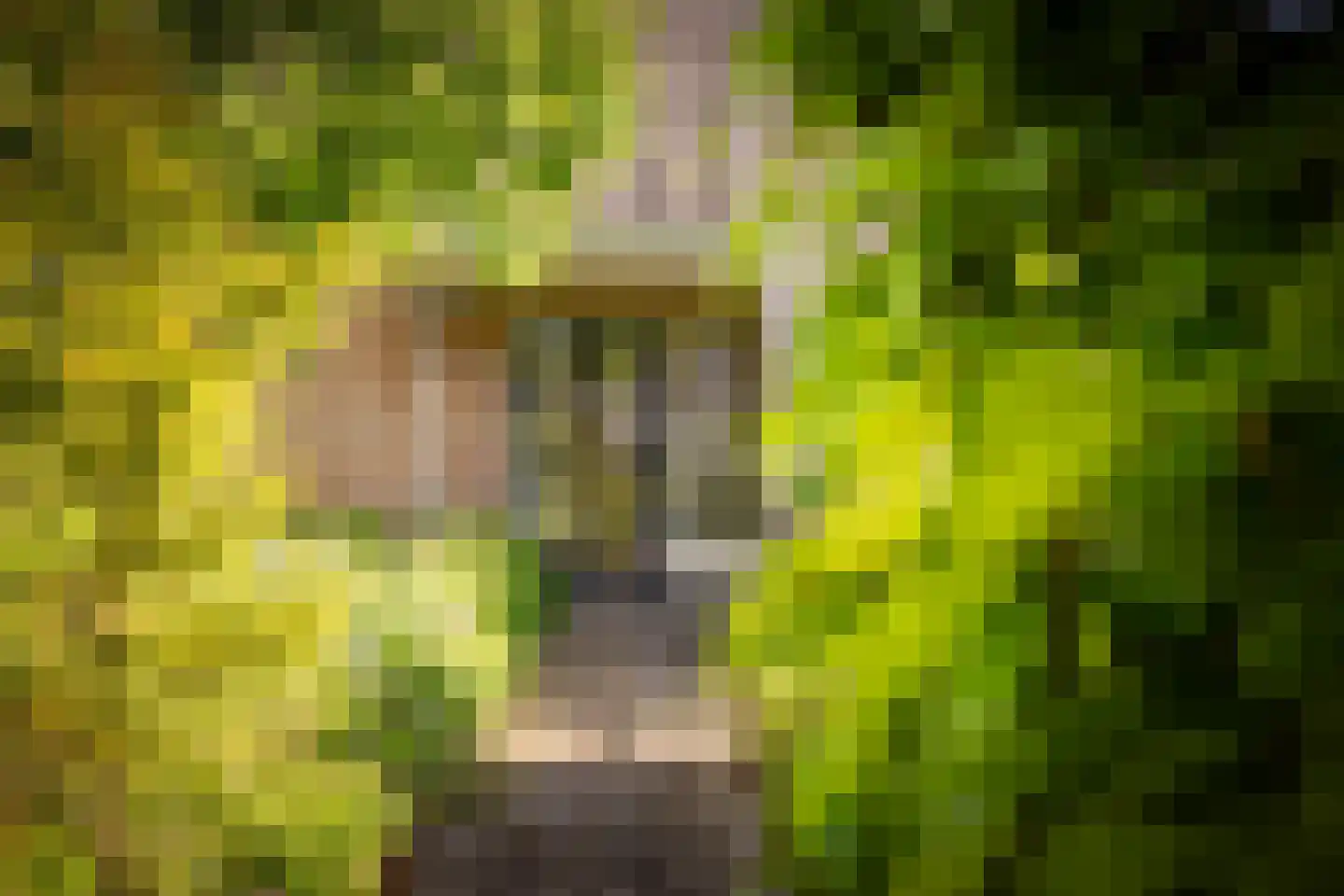 Hogeweg 5 Bathmen thumbnail 28