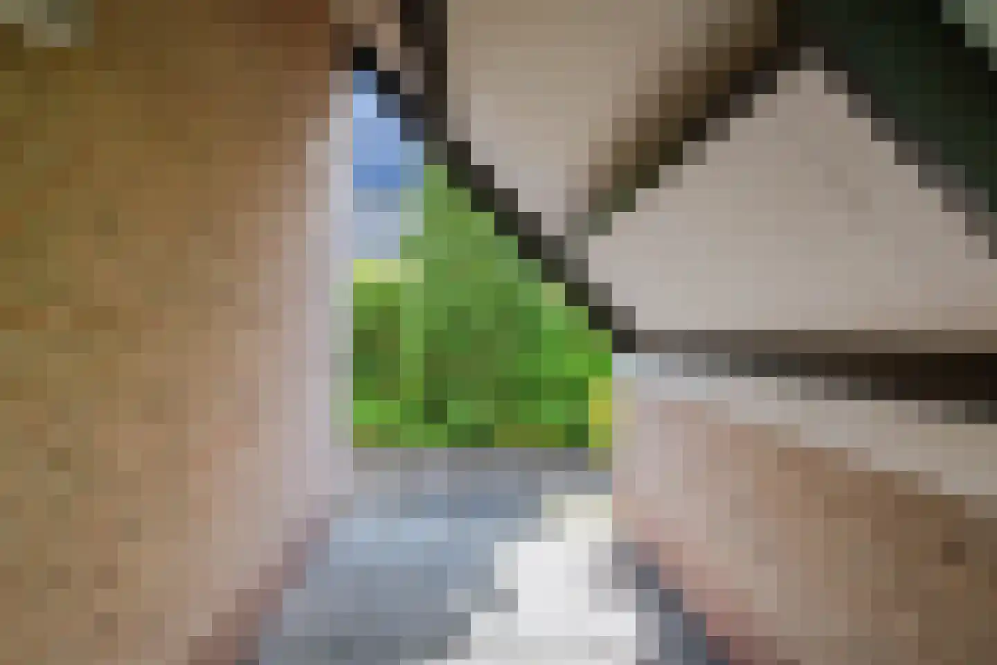 Hogeweg 5 Bathmen thumbnail 29