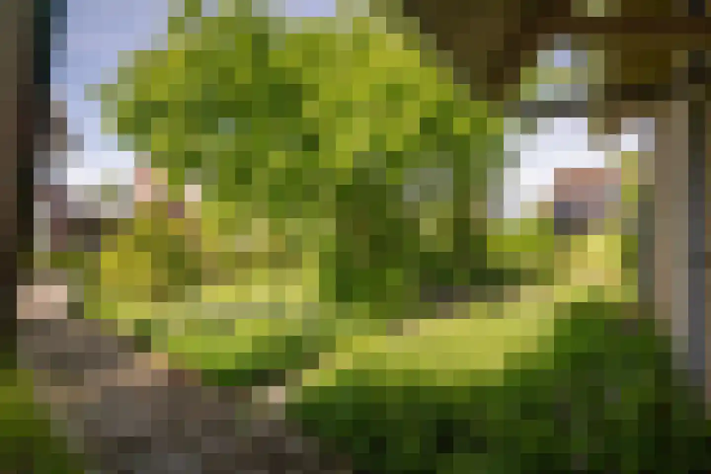 Hogeweg 5 Bathmen thumbnail 31