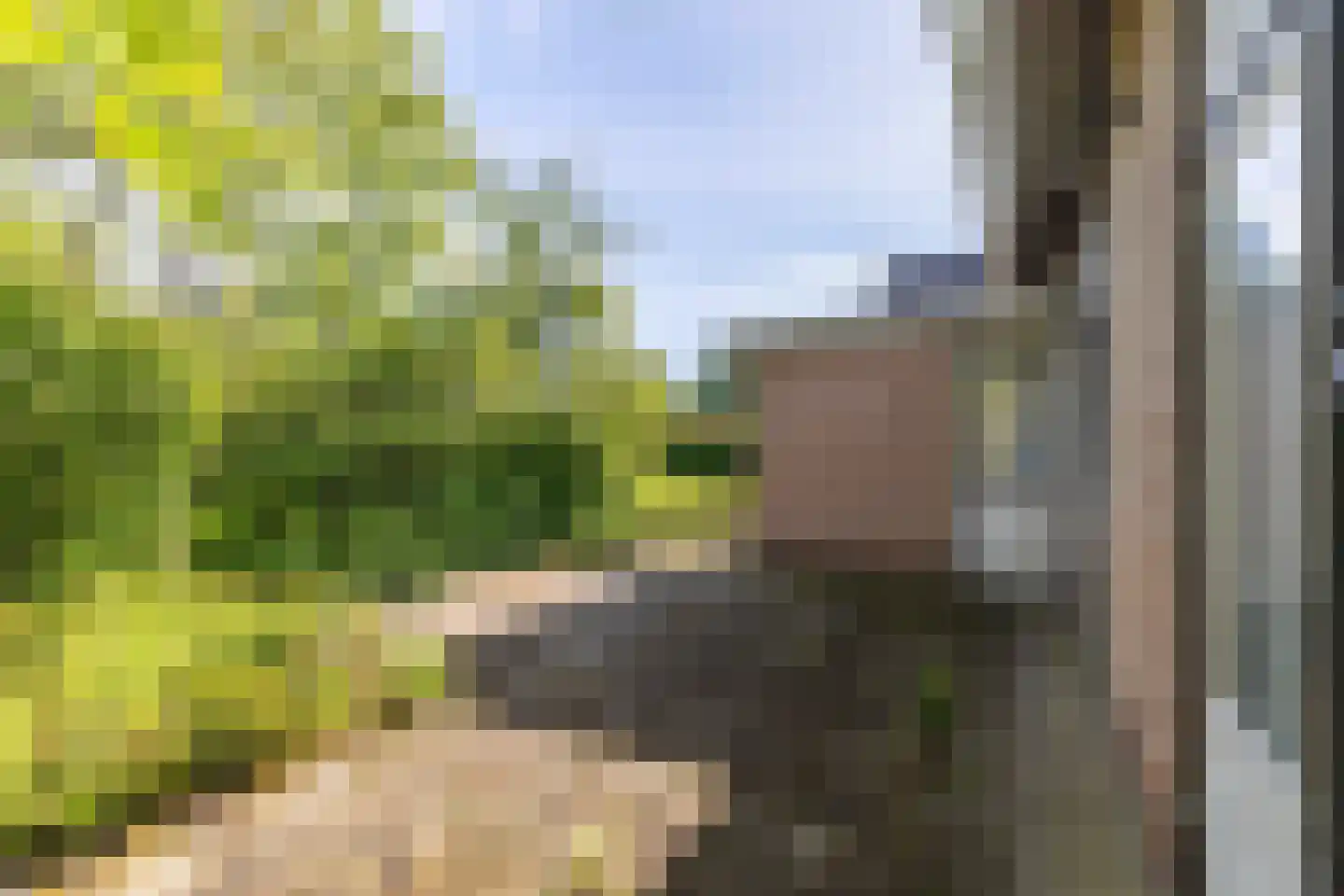 Hogeweg 5 Bathmen thumbnail 32
