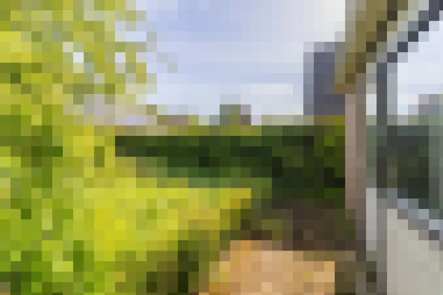 Hogeweg 5 Bathmen thumbnail 35