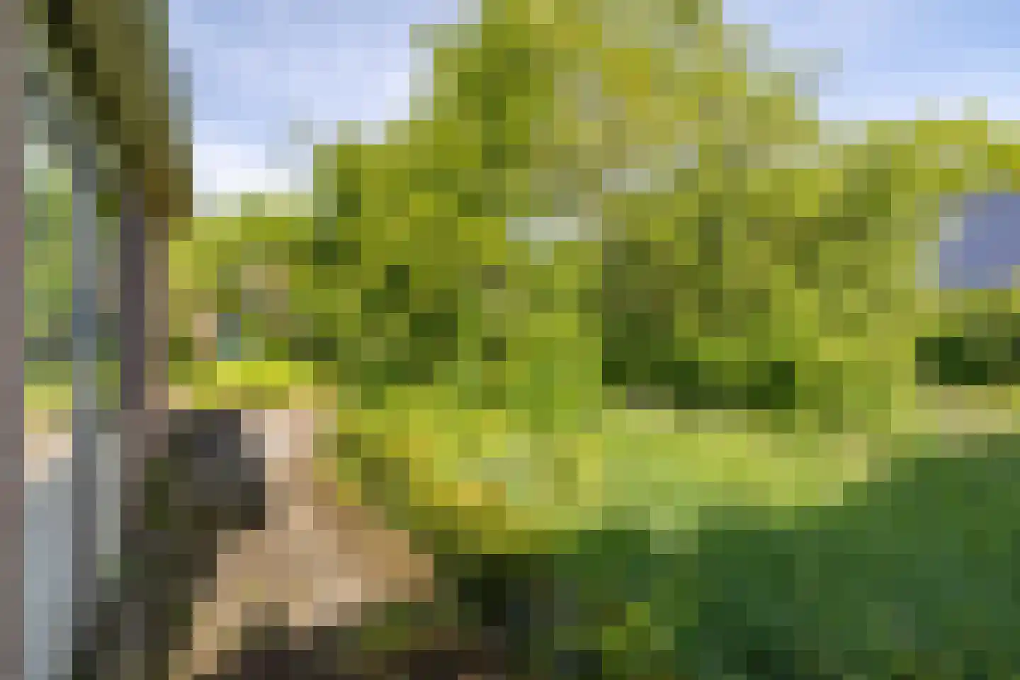Hogeweg 5 Bathmen thumbnail 36