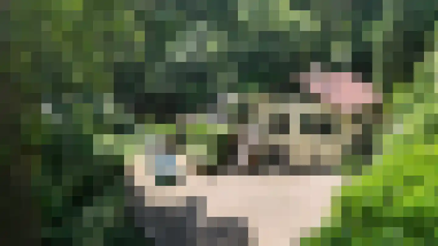 Hogeweg 5 Berg en Dal