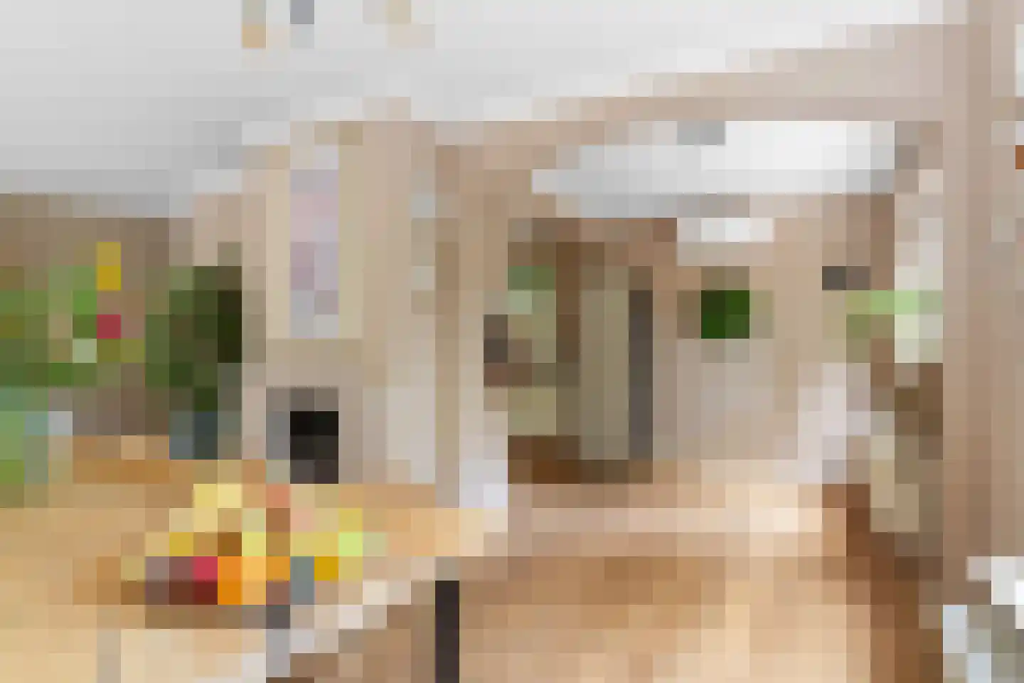 Hogeweg 5 Berg en Dal thumbnail 19