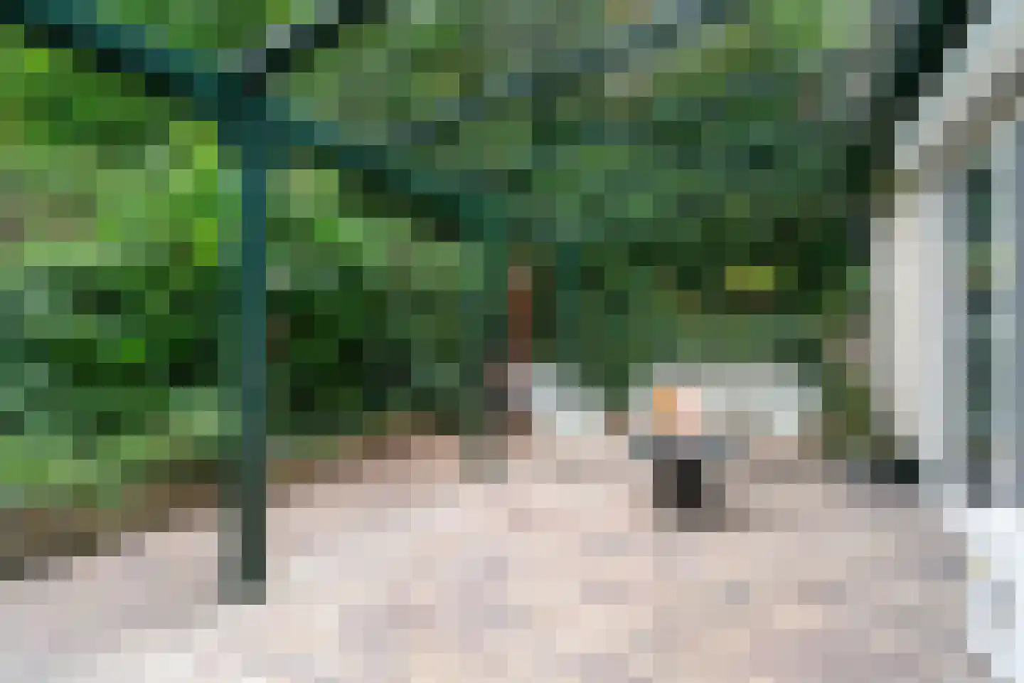 Hogeweg 5 Berg en Dal thumbnail 23