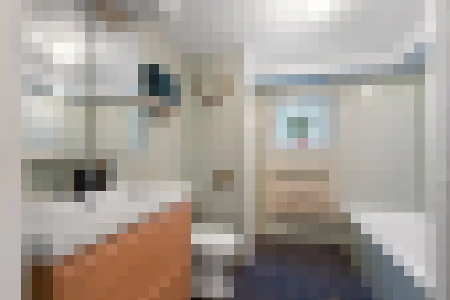 Hogeweg 5 Berg en Dal thumbnail 34