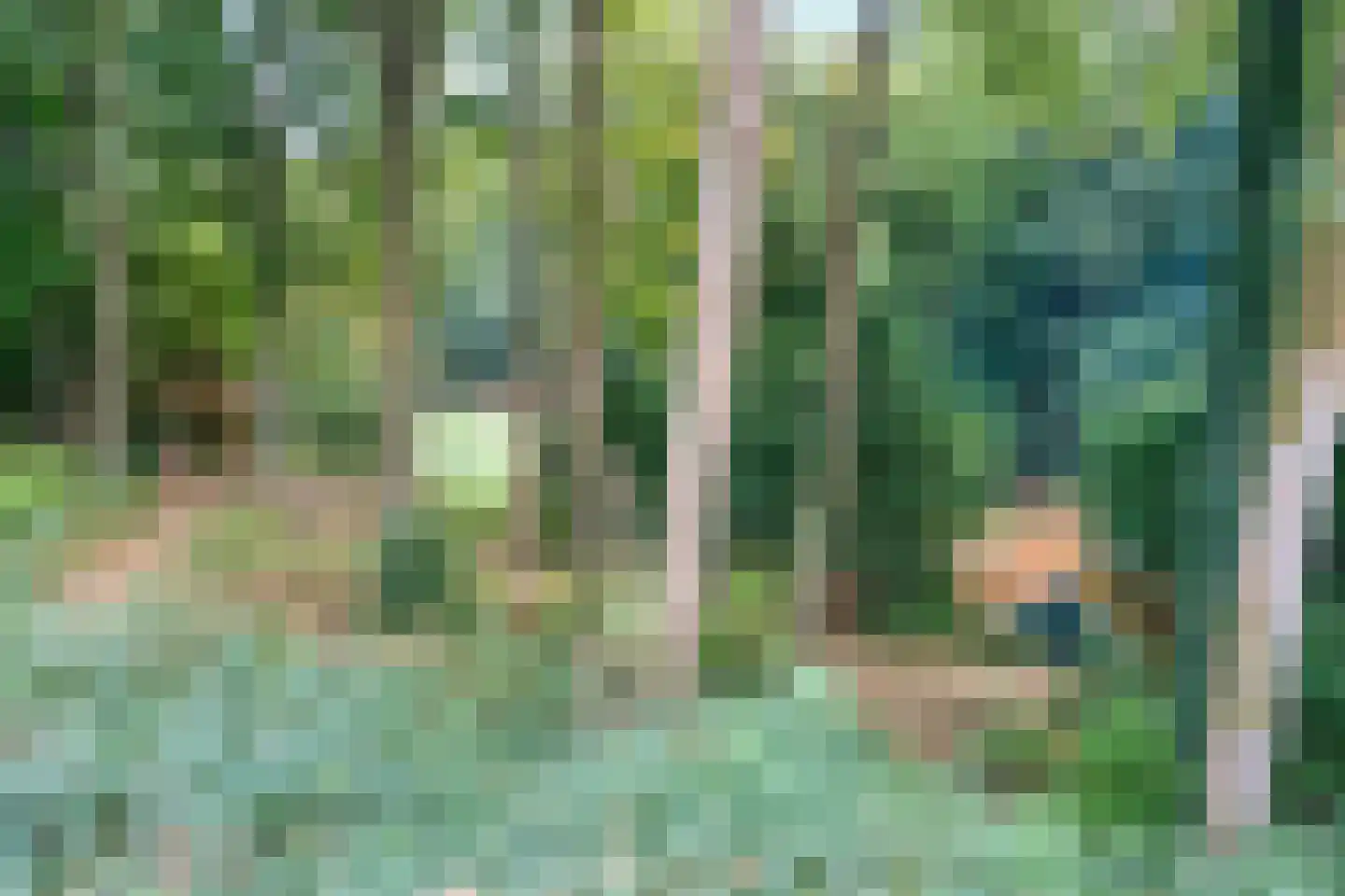 Hogeweg 5 Berg en Dal thumbnail 35