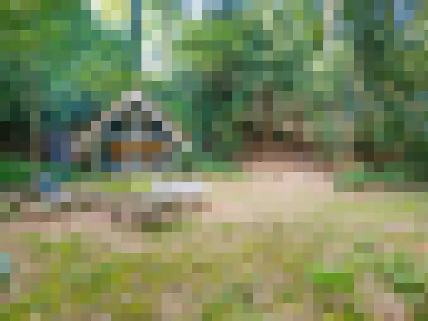 Hogeweg 5 Berg en Dal thumbnail 36