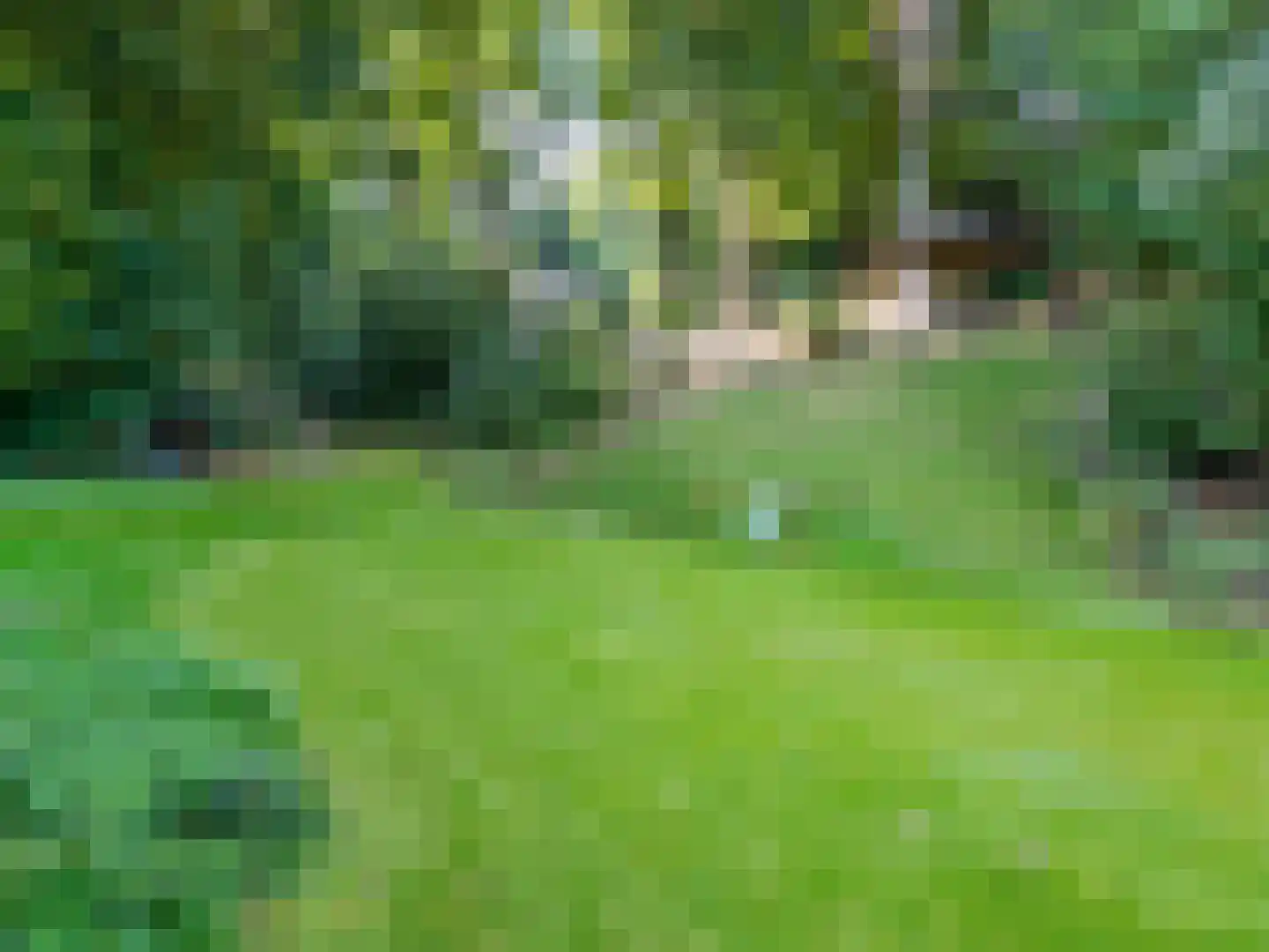 Hogeweg 5 Berg en Dal thumbnail 4
