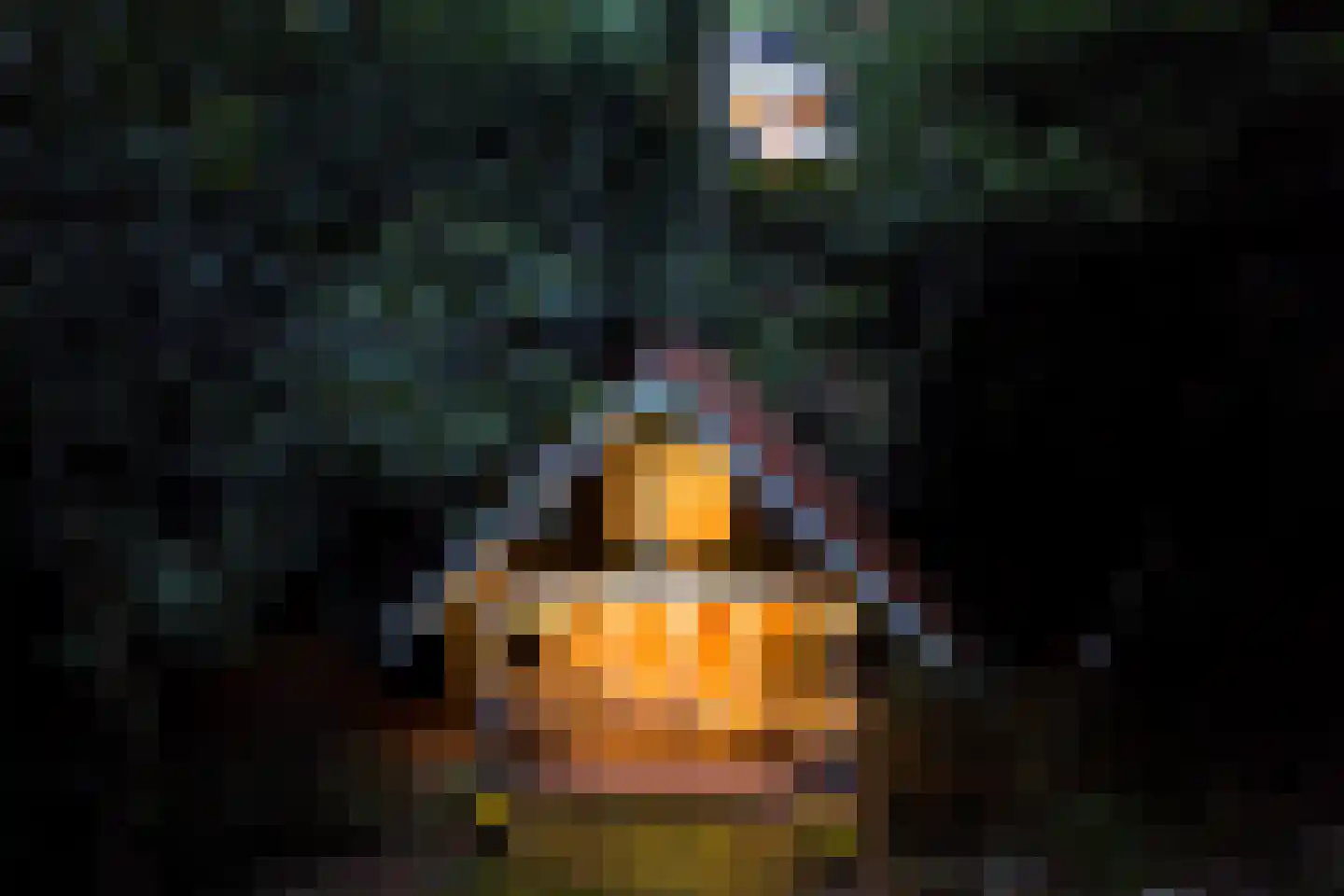 Hogeweg 5 Berg en Dal thumbnail 40