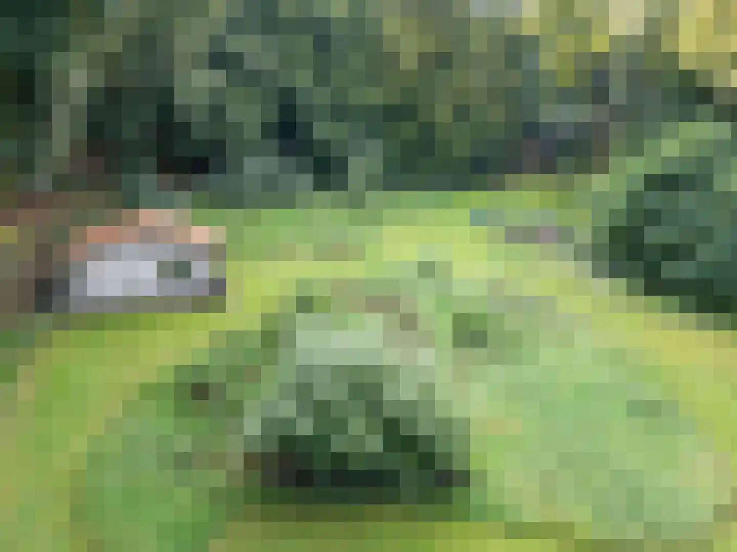 Hogeweg 5 Berg en Dal thumbnail 44