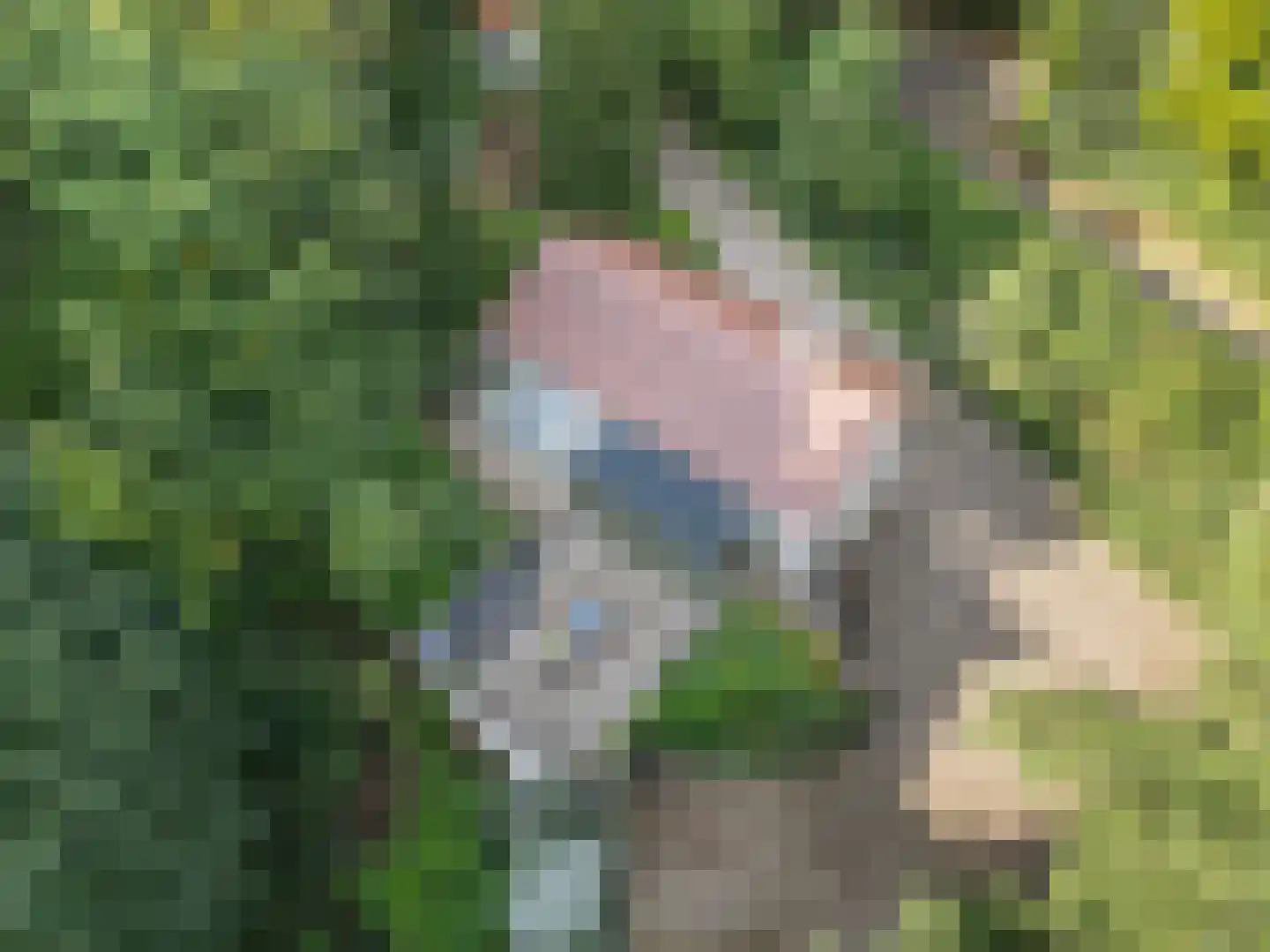 Hogeweg 5 Berg en Dal thumbnail 49