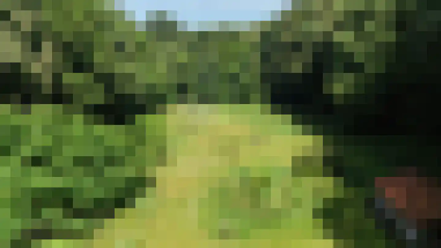 Hogeweg 5 Berg en Dal thumbnail 5