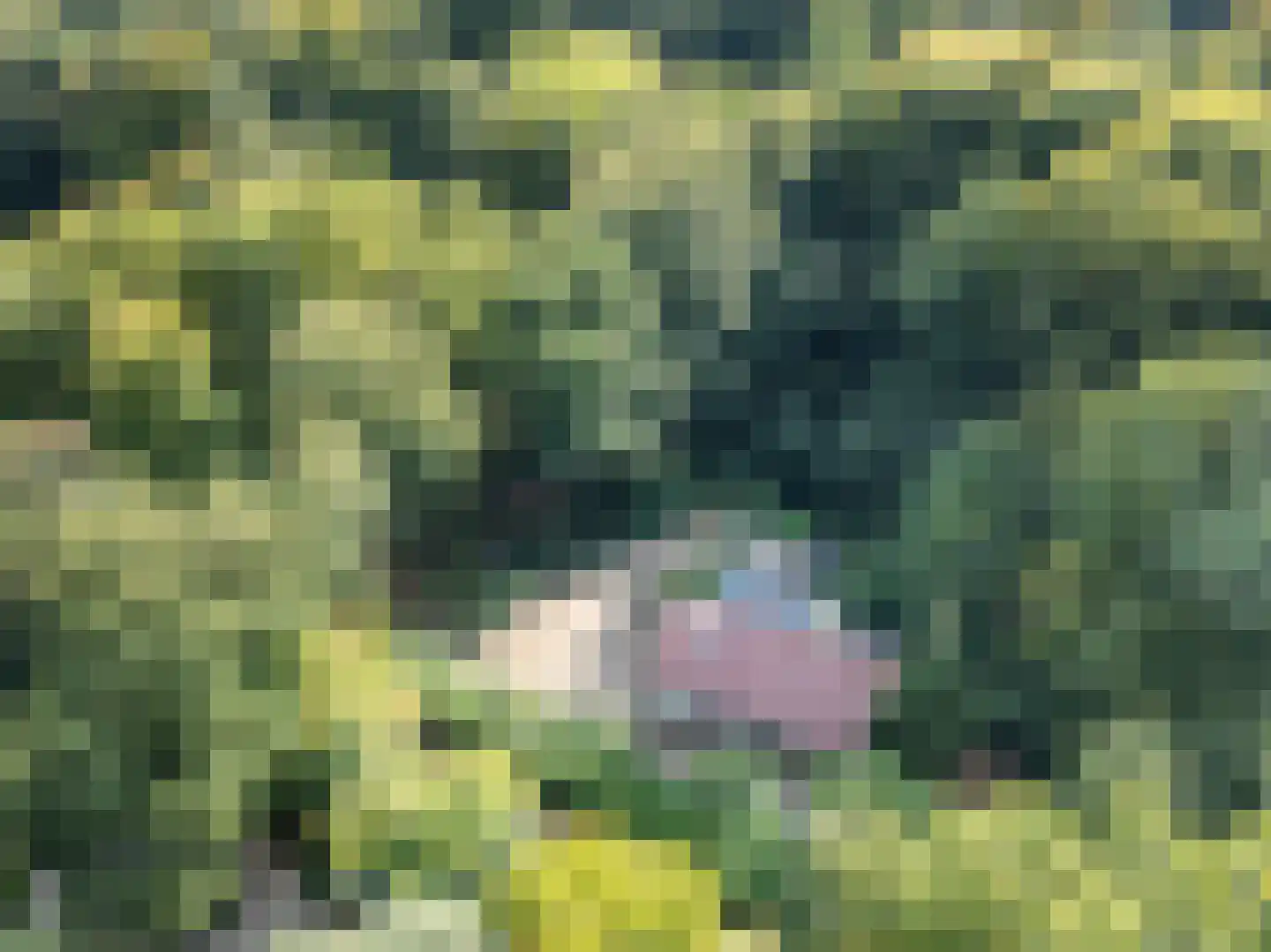 Hogeweg 5 Berg en Dal thumbnail 50