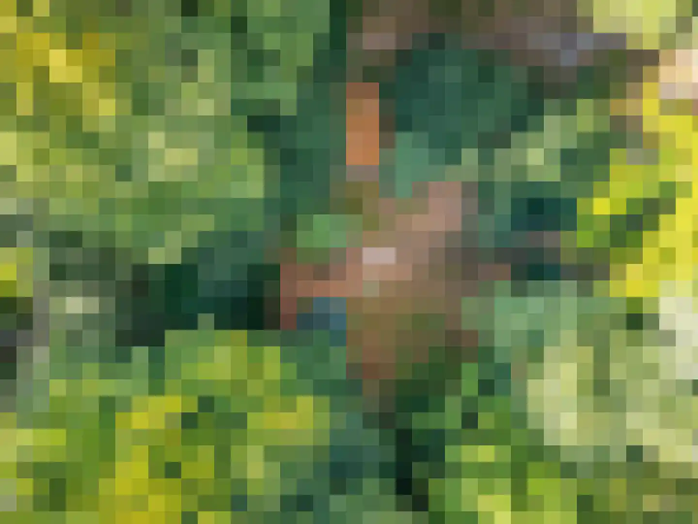 Hogeweg 5 Berg en Dal thumbnail 51