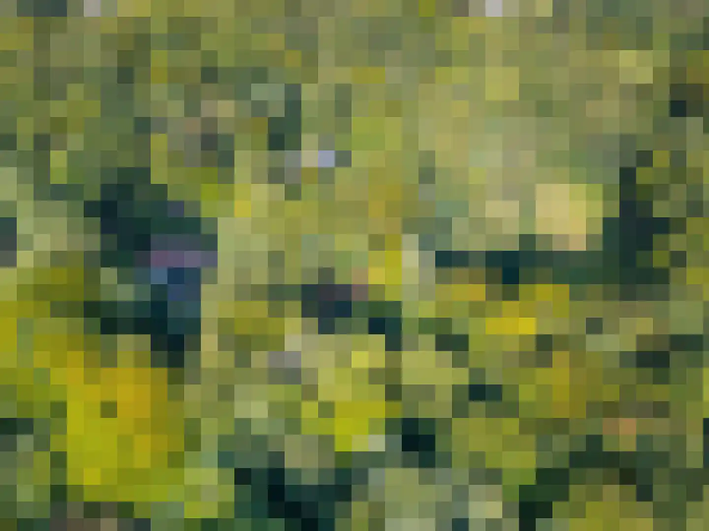 Hogeweg 5 Berg en Dal thumbnail 53
