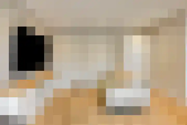 Hogeweg 5 Drunen thumbnail 15
