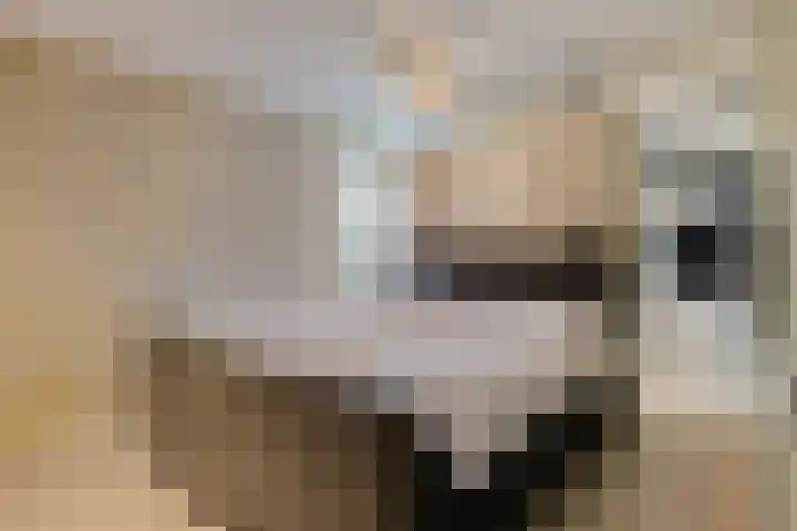 Hogeweg 5 Drunen thumbnail 24