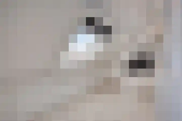 Hogeweg 5 Drunen thumbnail 33