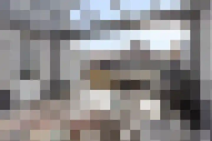 Hogeweg 5 Drunen thumbnail 38