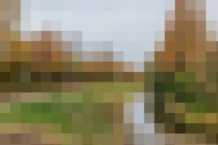 Hogeweg 5 Noordwijk thumbnail 35