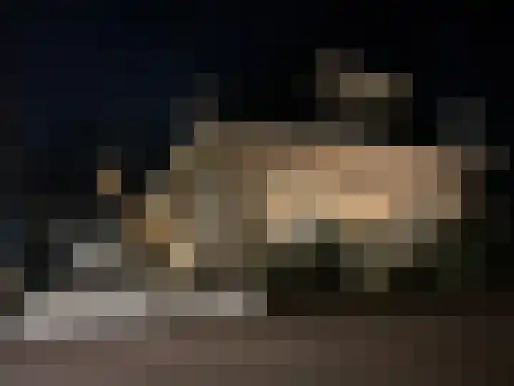 Hogeweg 5 Noordwijk thumbnail 37