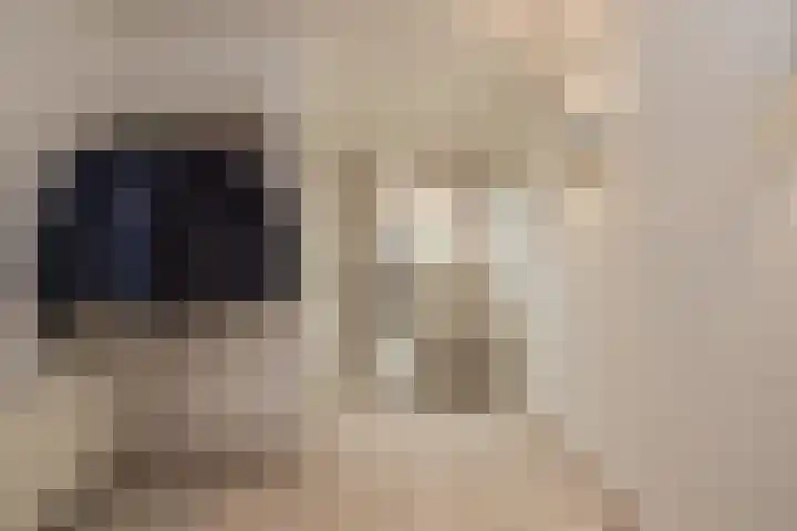 Hogeweg 5 Noordwijk thumbnail 5