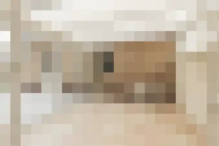 Hogeweg 5 Noordwijk thumbnail 7