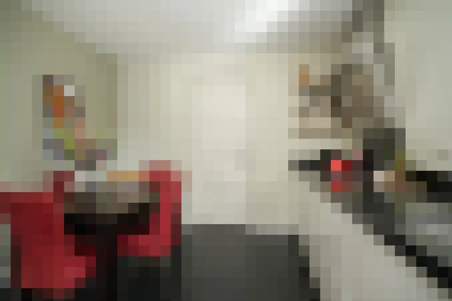 Hogeweg 50 Wamel thumbnail 20