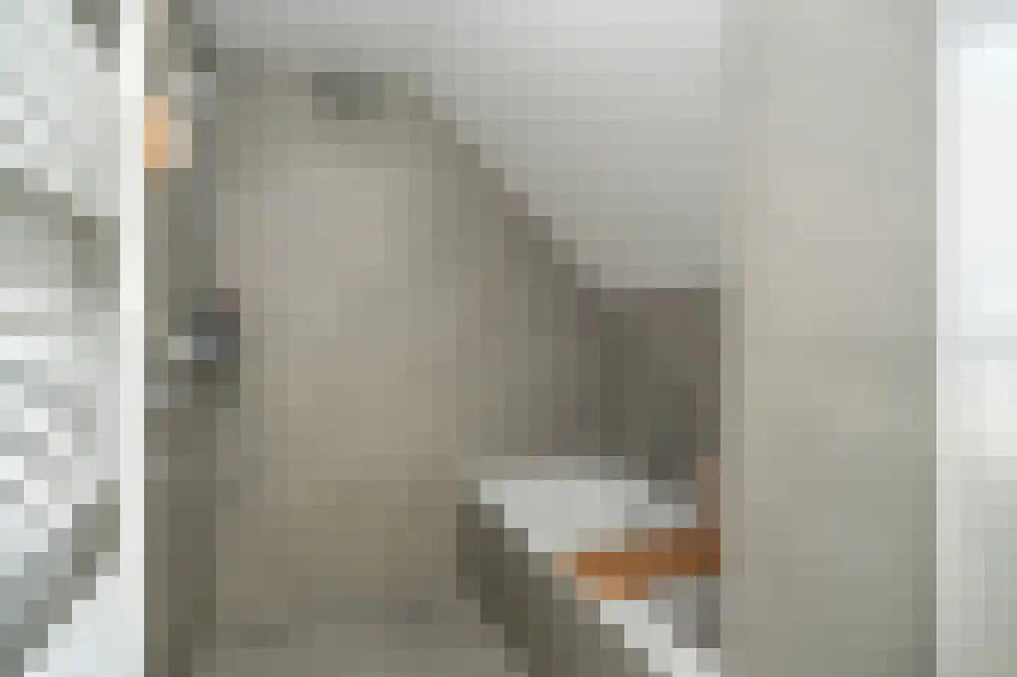 Hogeweg 50 Wamel thumbnail 36