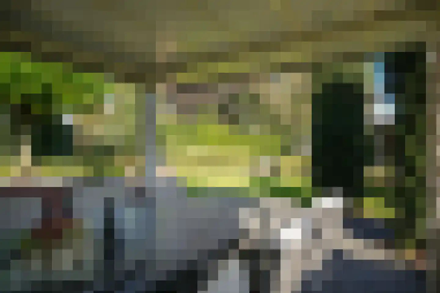 Hogeweg 50 Wamel thumbnail 49