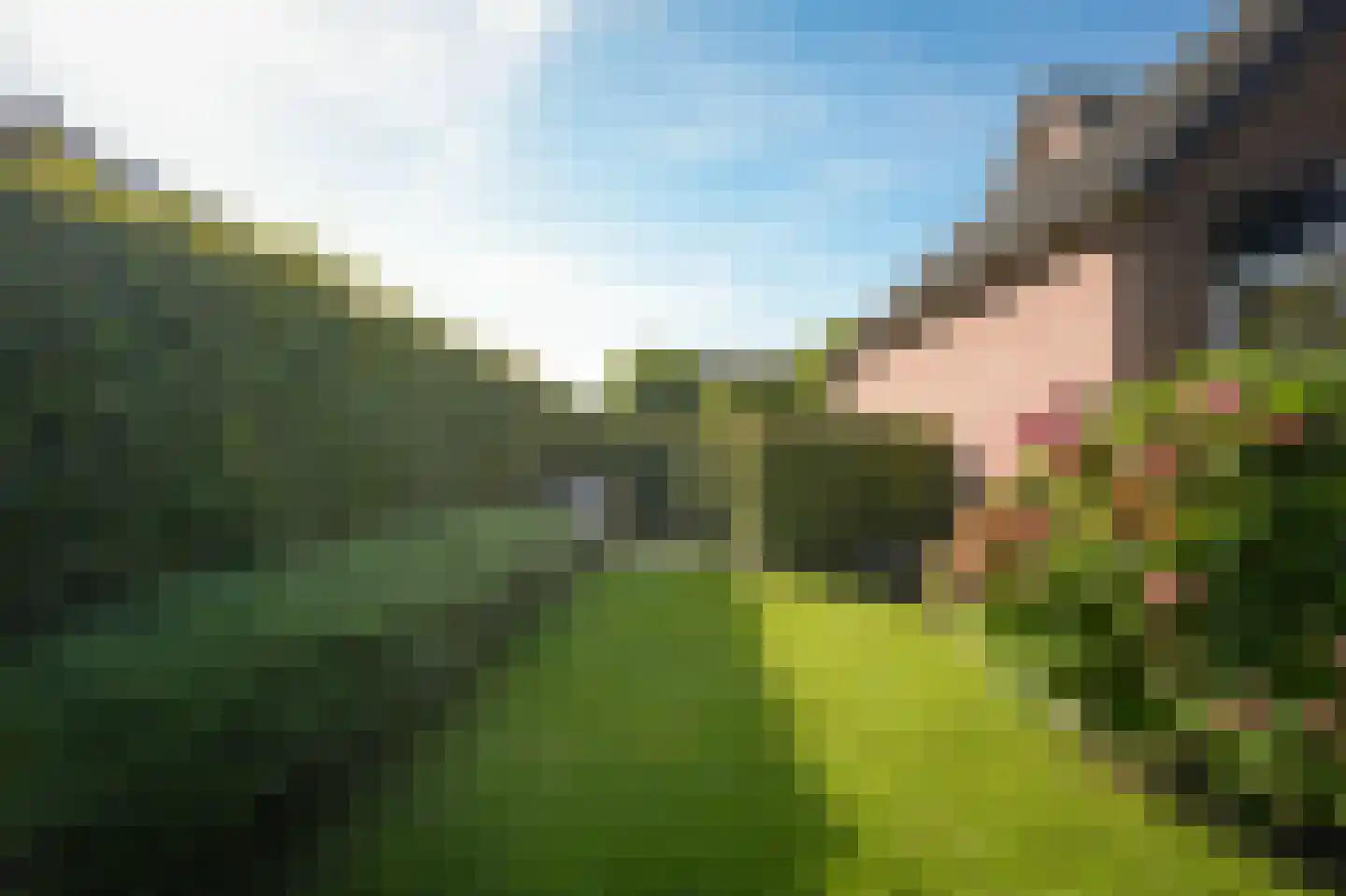 Hogeweg 50 Wamel thumbnail 61