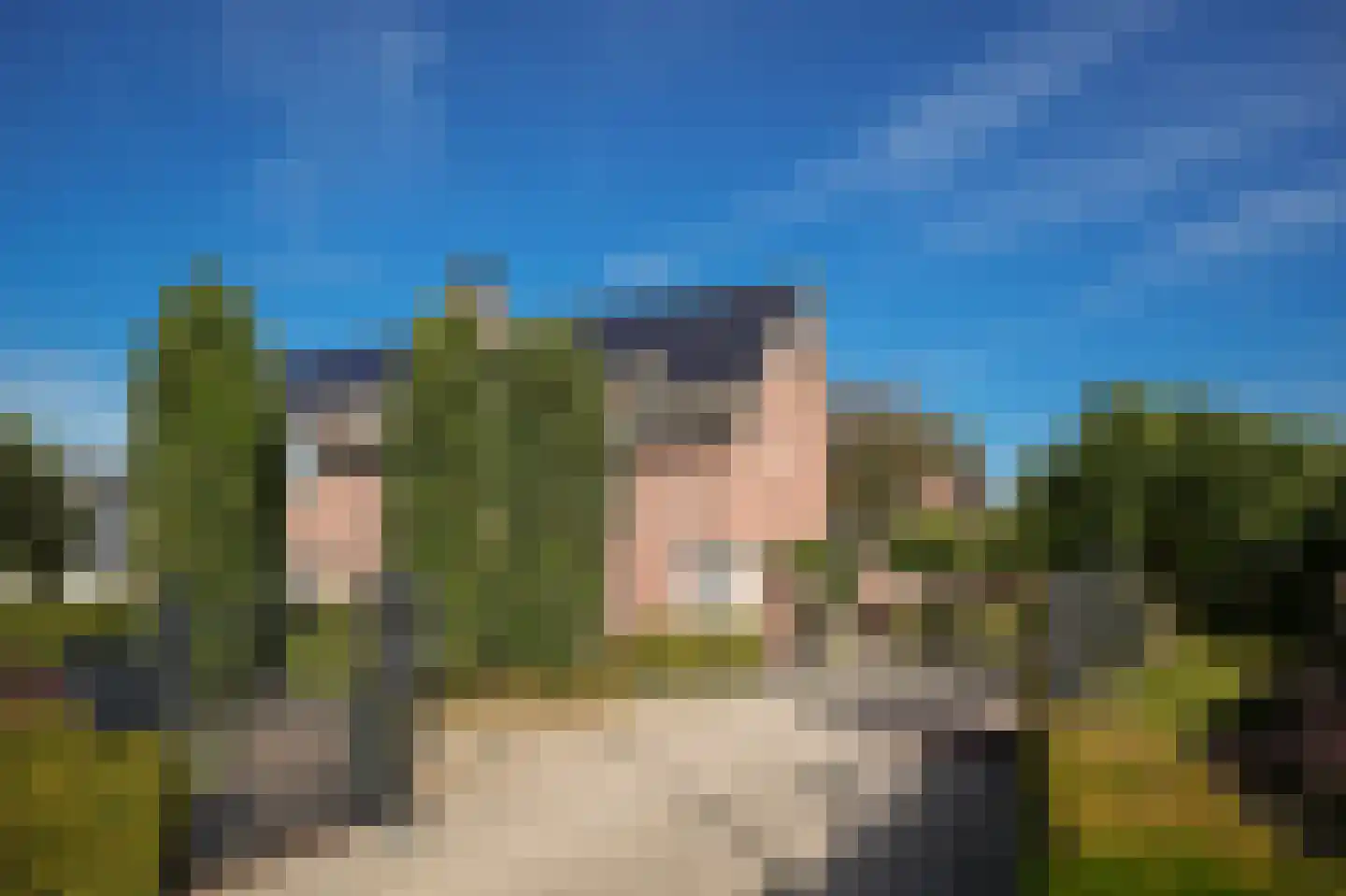 Hogeweg 50 Wamel thumbnail 65